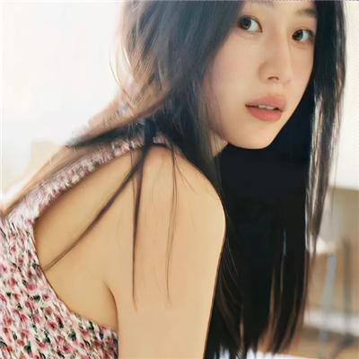 没人瞭波斯猫